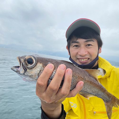 クロムツの釣果