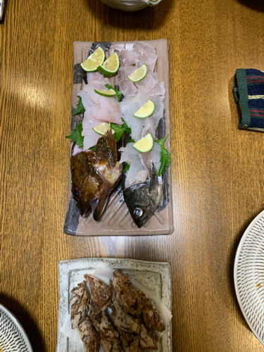 アオメバルの釣果