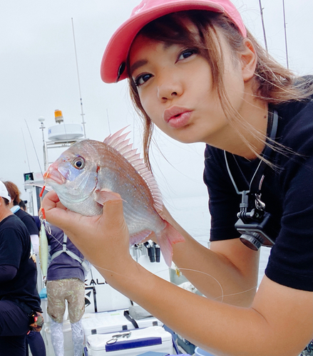 ハナダイの釣果