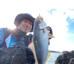 ショゴの釣果