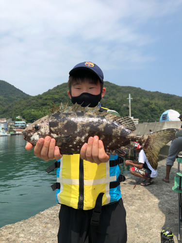 アイゴの釣果