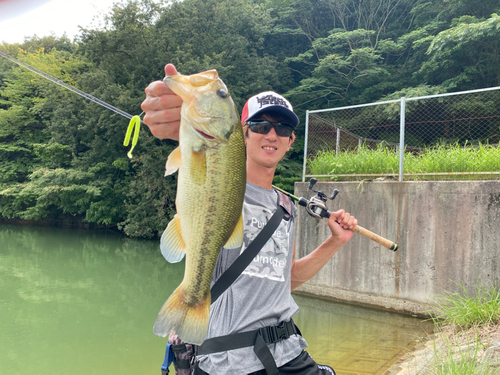 ブラックバスの釣果