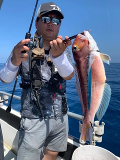 アマダイの釣果