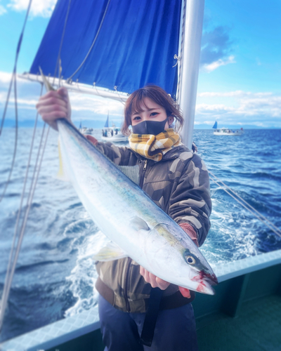 ハマチの釣果