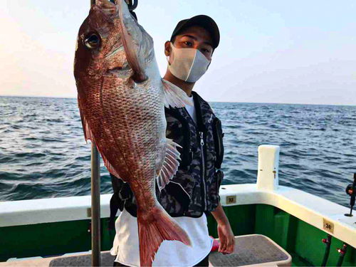 マダイの釣果