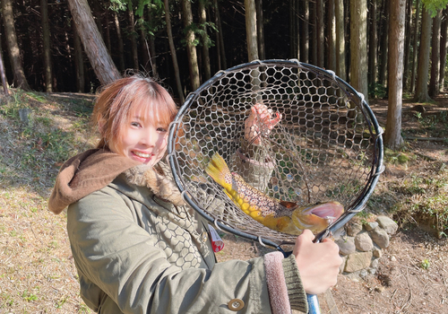 ブラウントラウトの釣果