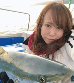 ブリの釣果