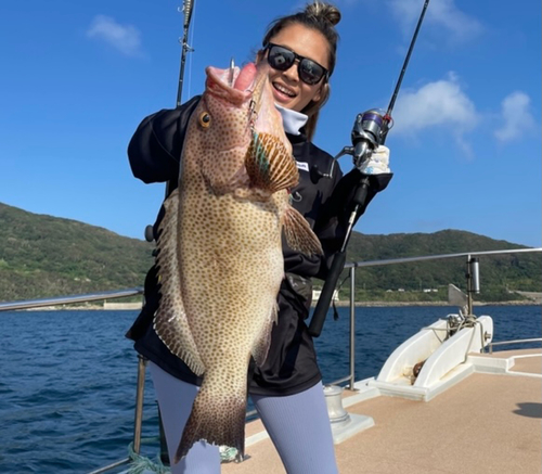 オオモンハタの釣果