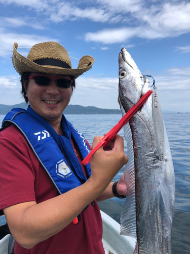 タチウオの釣果