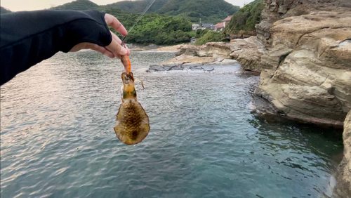 釣果