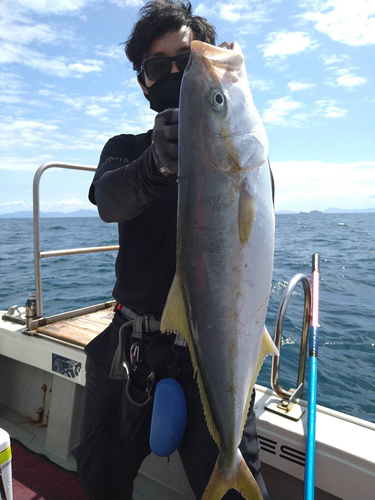 ヒラマサの釣果