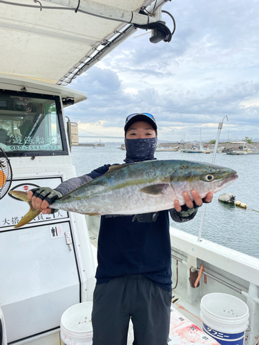 メジロの釣果