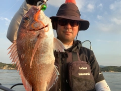 マダイの釣果