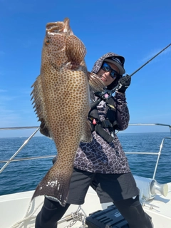 オオモンハタの釣果