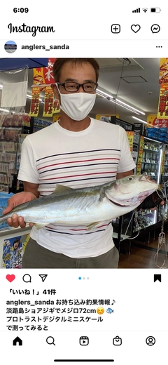 メジロの釣果