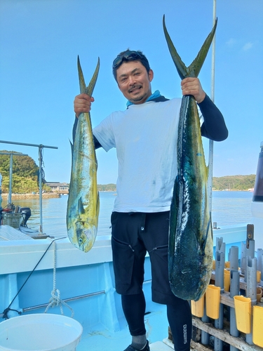 シイラの釣果