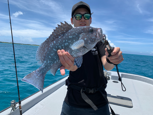 ツチホゼリの釣果