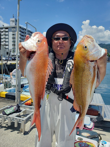 マダイの釣果