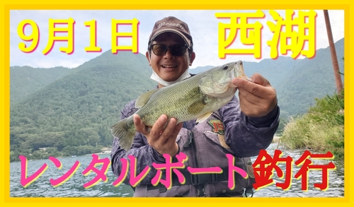 ラージマウスバスの釣果