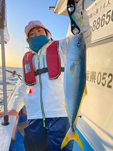 イナダの釣果