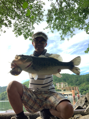 ブラックバスの釣果