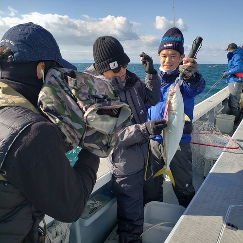 ハマチの釣果