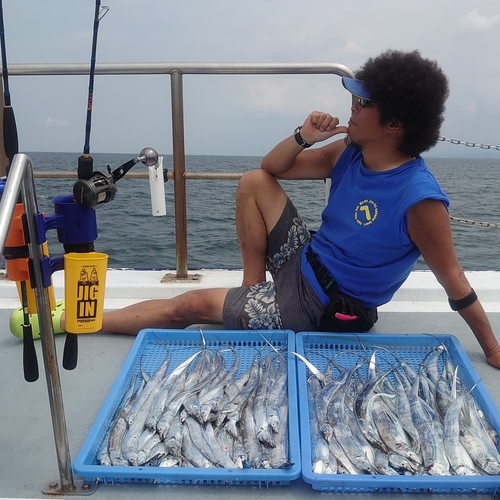 タチウオの釣果