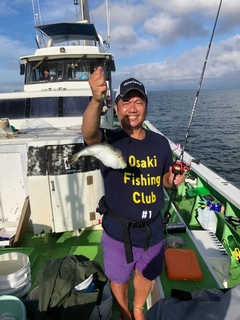 ショウサイフグの釣果