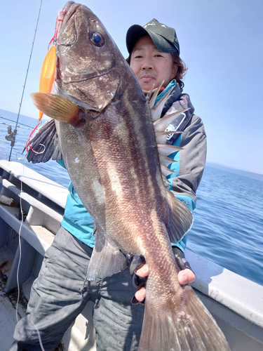 イシナギの釣果