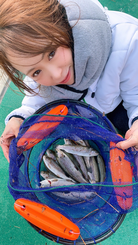 ニジマスの釣果