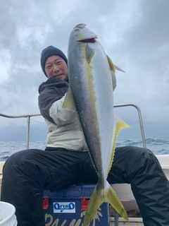 ヒラマサの釣果