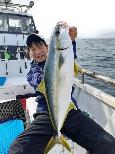 ヒラマサの釣果