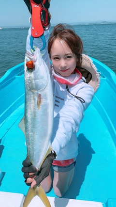 ハマチの釣果
