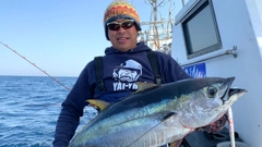 キハダマグロの釣果