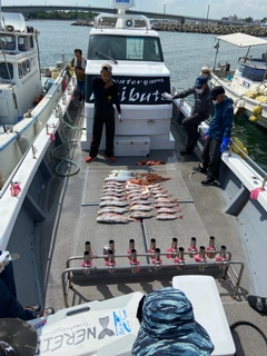 マダイの釣果