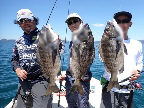 クロダイの釣果