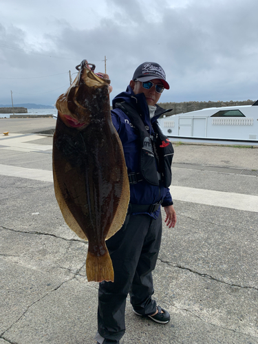 ヒラメの釣果