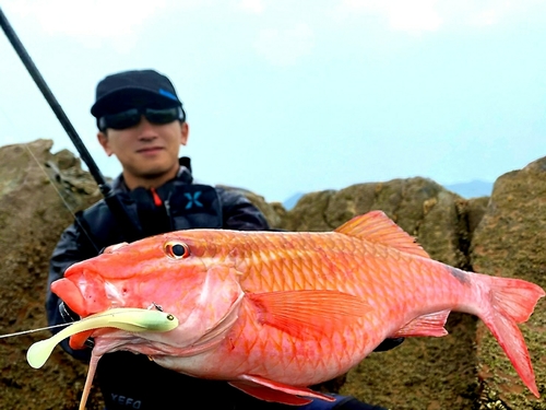 オジサンの釣果