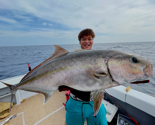 カンパチの釣果