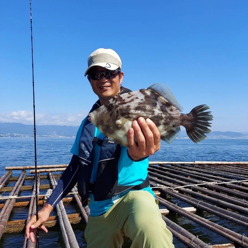 カワハギの釣果