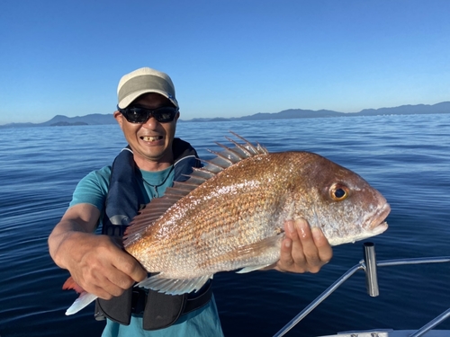 マダイの釣果