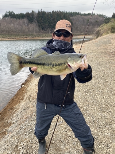 ラージマウスバスの釣果