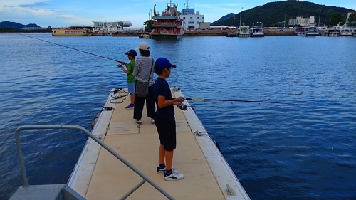 サバの釣果