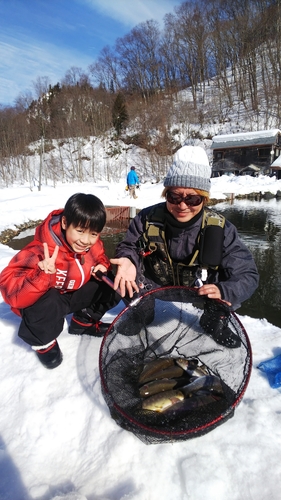 スチールヘッドの釣果