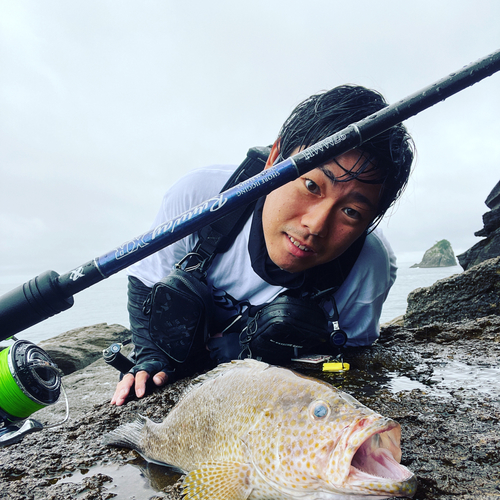 オオモンハタの釣果