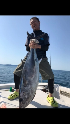 クロマグロの釣果