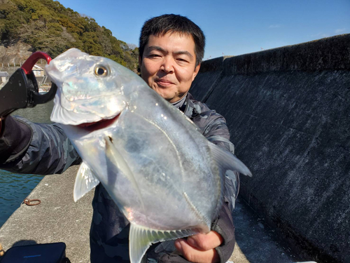 メッキの釣果