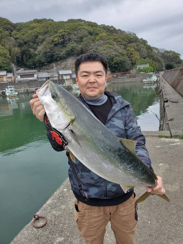 ブリの釣果