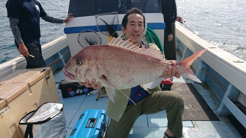 マダイの釣果