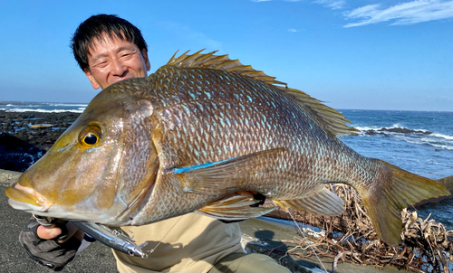 ハマフエフキダイの釣果